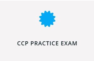 CMMC Certified Professional (CCP) Practice Exam