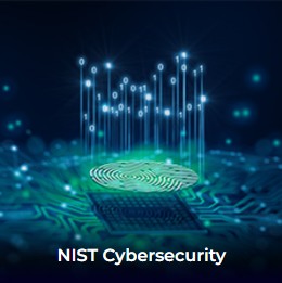 NIST Cybersecurity COnsultant button img.png
